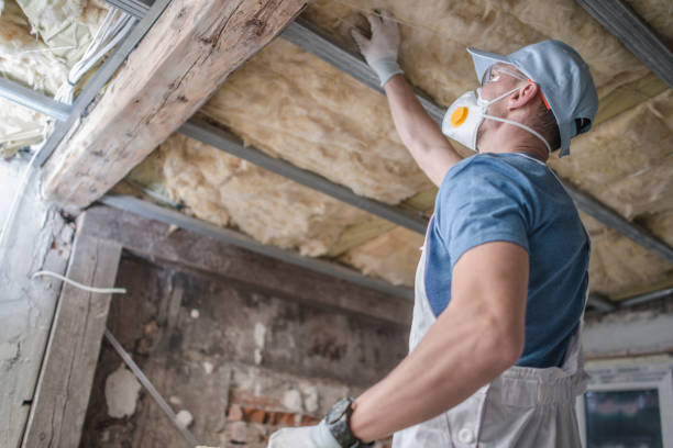 Best Insulation Contractor Near Me  in Willow Street, PA